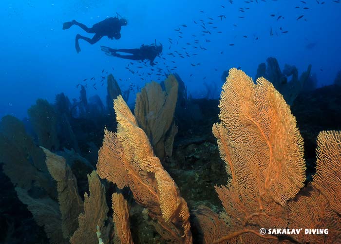diving courses in Nosy Be Madagascar